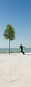 男孩,跑,树,海滩
