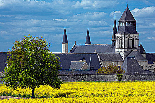 法国,卢瓦尔河地区,曼恩-卢瓦尔省,教堂