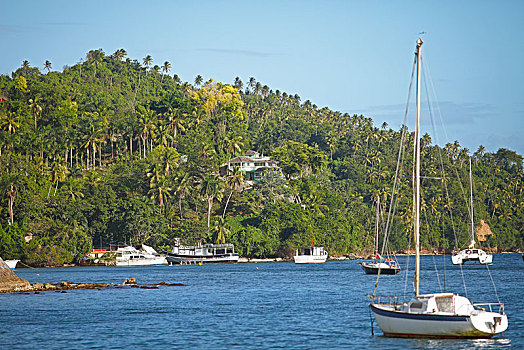 船,湾,萨玛纳,后面,丛林,圣芭芭拉,省,多米尼加共和国,中美洲