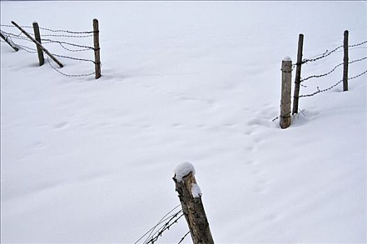 刺铁丝网,围栏,大雪,巴伐利亚,德国
