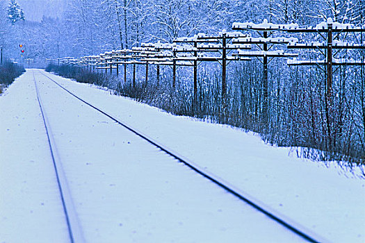 积雪,轨道,不列颠哥伦比亚省,加拿大