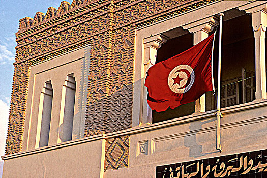 突尼斯,区域,托泽尔,旗帜