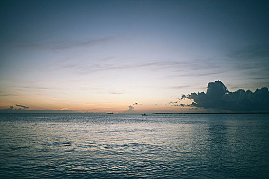 日落,海洋,博奈尔岛,岛屿,荷兰,加勒比