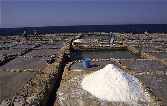 盐厂,海岸,靠近,岛屿,马耳他