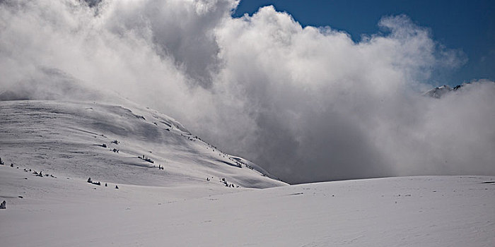 风景,积雪,山,惠斯勒,不列颠哥伦比亚省,加拿大
