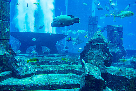 阿联酋迪拜棕榈岛,失落的空间,水族馆