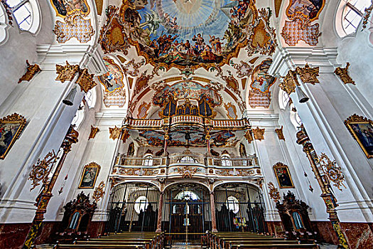 大厅,壁画,教堂,巴伐利亚,德国,欧洲
