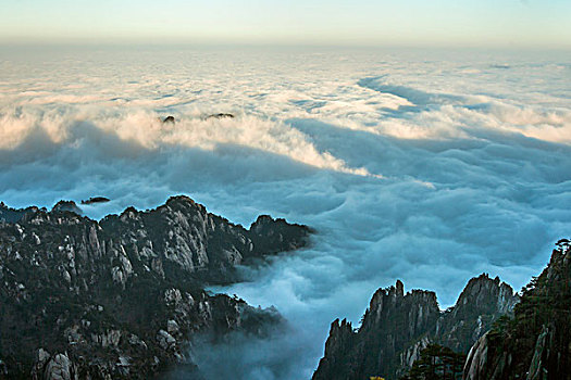 黄山云海,地质公园,岩石,迎客松,云海