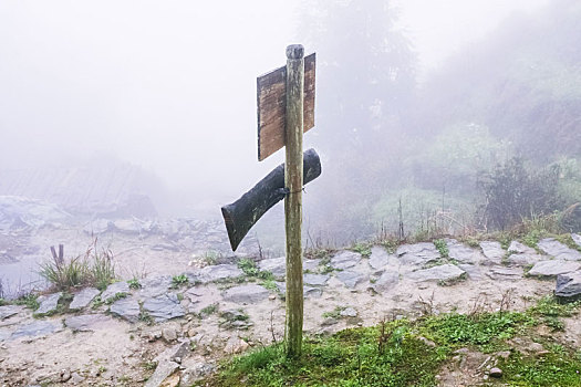 路标,山路,模糊,白天