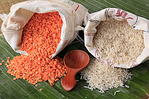 红色,扁豆,印度香米