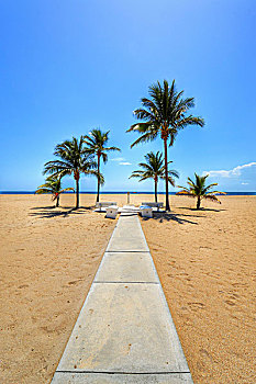 宽,空旷,沙滩,棕榈树,人行道