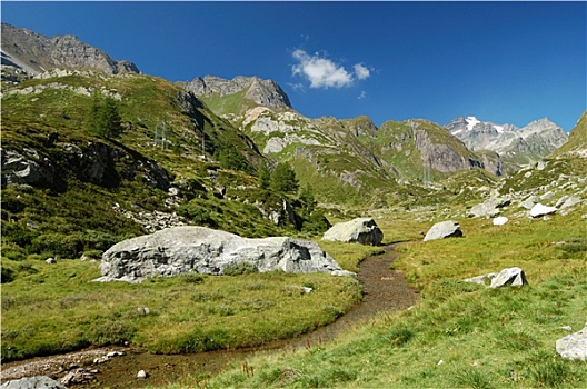 夏天,阿尔卑斯山