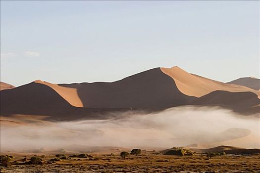 雾,海洋,大西洋,红色,沙丘,索苏维来地区,纳米布沙漠,纳米比亚