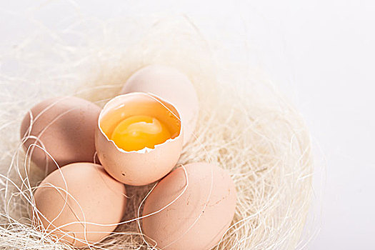 鸡蛋鹌鹑蛋