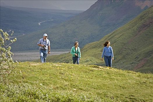 夫妻,中年,女人,远足,苔原,河,区域,德纳里峰国家公园,阿拉斯加