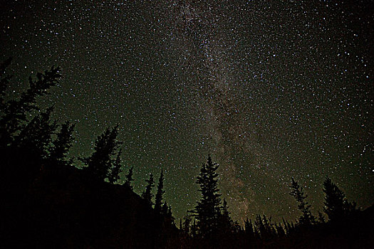 银河,上方,树,育空,加拿大