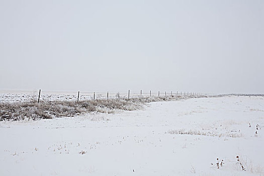 土地,围栏,雪