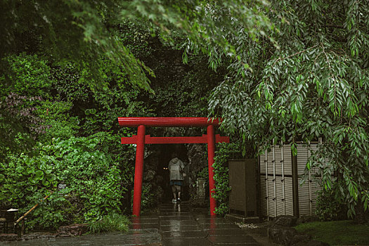 日本,庭院