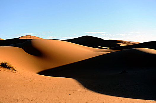 沙丘,砂质荒漠,却比沙丘,撒哈拉沙漠,南方,摩洛哥,北非,非洲