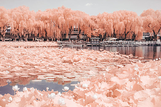 红外摄影之北京北海公园