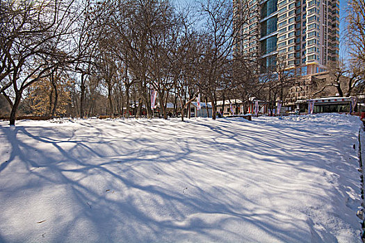 公园冬天风景