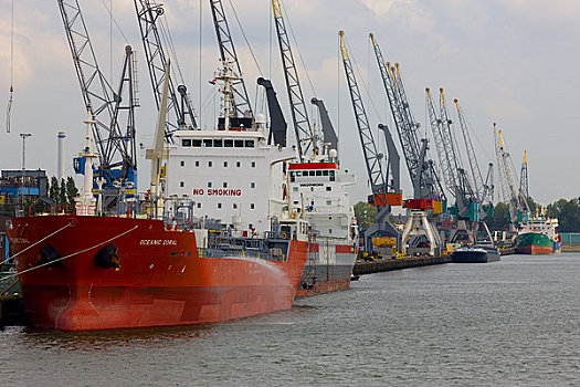 货船,码头,鹿特丹,荷兰