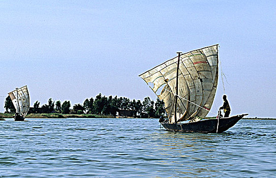 西非,马里,通布图,区域,尼日尔河