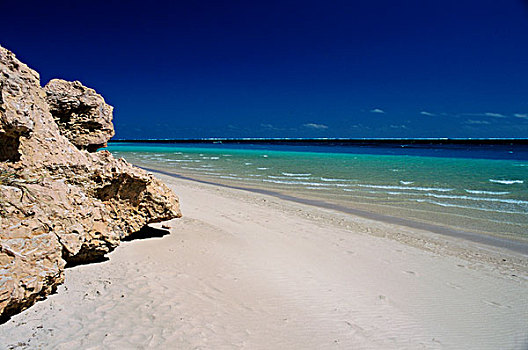 岩石构造,海滩,珊瑚,湾,海洋公园,西澳大利亚,澳大利亚
