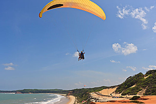 滑翔伞,上方,海滩,北里奥格兰德,巴西