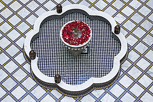 摩洛哥,室内,喷泉,玫瑰花瓣
