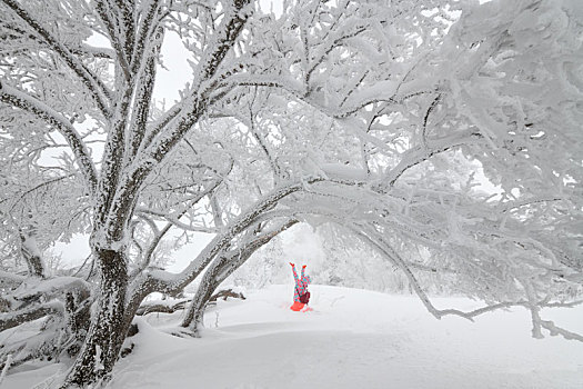 走进林海雪原