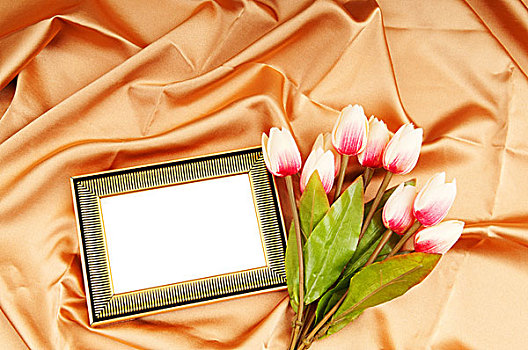 画框,郁金香,花,绸缎