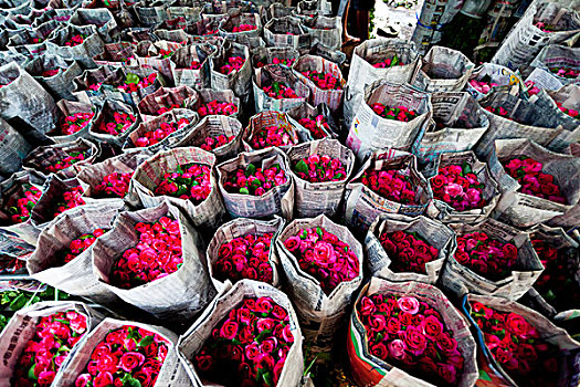 红玫瑰,花,市场,曼谷,泰国,亚洲
