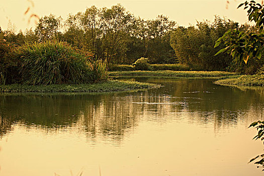 秋天的杭州西溪湿地