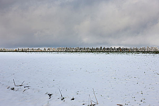 积雪,地点