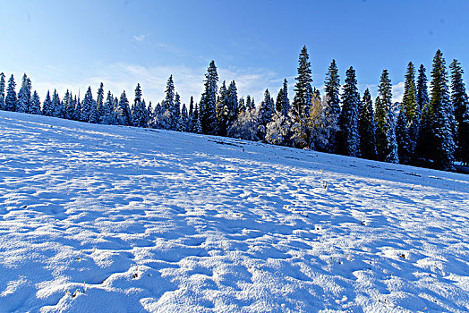 那拉提牧场雪景