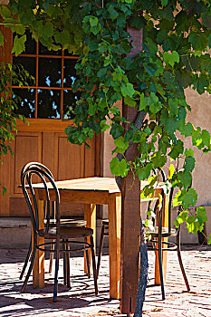 澳大利亚,半岛,产酒区,葡萄酒厂,桌子,椅子