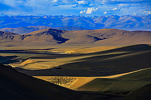 西藏定结沙漠