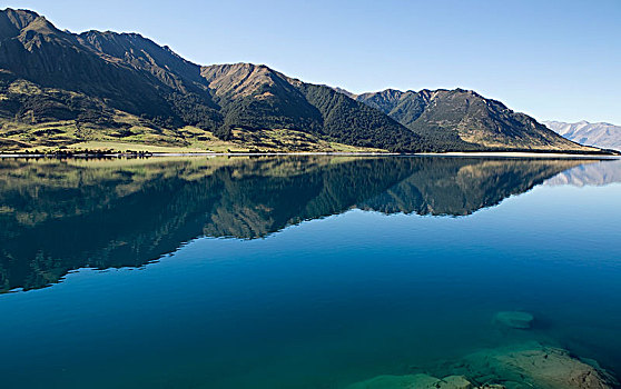湖,反射,山,南岛,新西兰