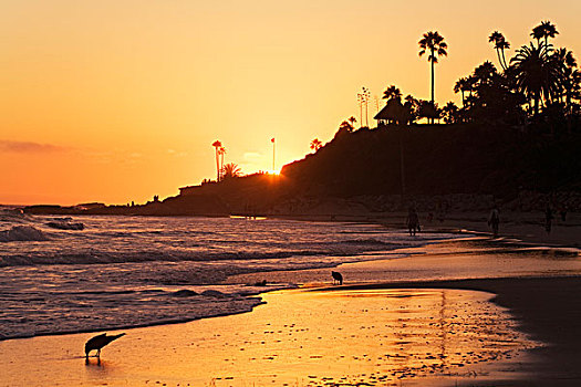 美国,加利福尼亚,拉古纳海滩,日落