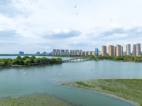 江苏东海,湿地公园,乐享假期