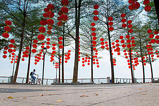 中国广东深圳湾海滨公园春节风光