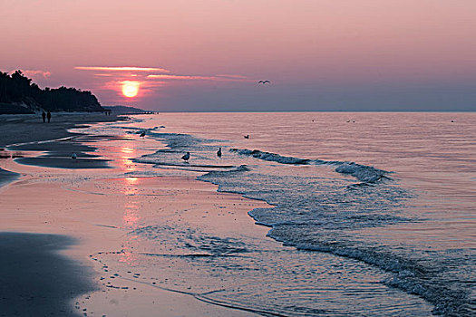 日落,靠近,沙滩,波美拉尼亚,波兰,欧洲