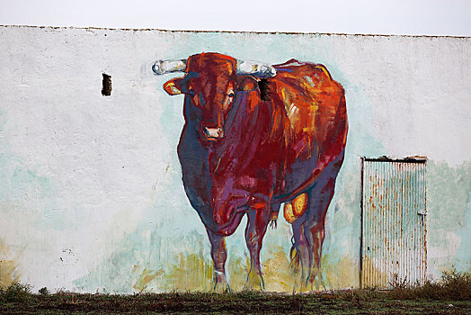 壁画,西班牙,公牛,涂绘,厩,墙壁,安达卢西亚,欧洲