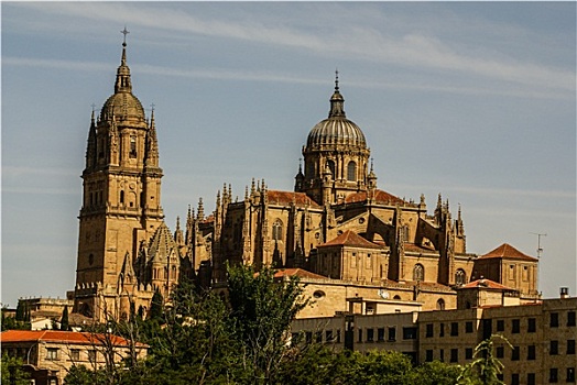 一个,塔,新,大教堂,萨拉曼卡,西班牙,世界遗产