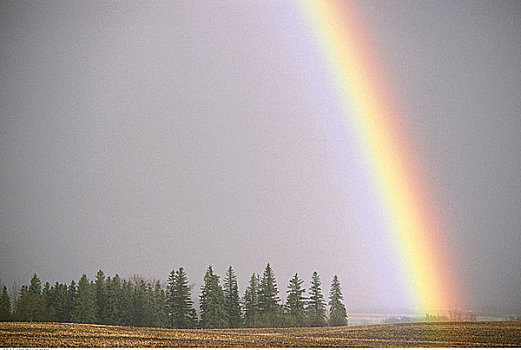 彩虹,乡村,艾伯塔省,加拿大
