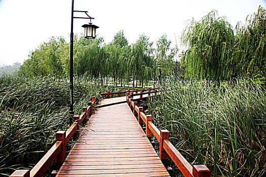 西安曲江池遗址公园