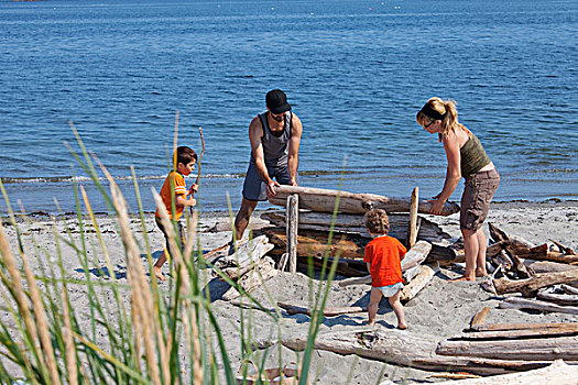 家庭,堆放,浮木,海滩,不列颠哥伦比亚省,加拿大