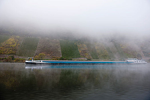驳船,摩泽尔,河,早晨,雾,莱茵兰普法尔茨州,德国,欧洲