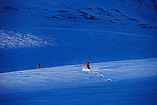 滑雪者,鹰,冰河,不列颠哥伦比亚省,加拿大